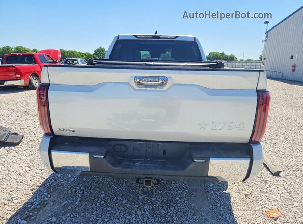 5TFMA5DB5SX247516 2025 TOYOTA TUNDRA White Rear view