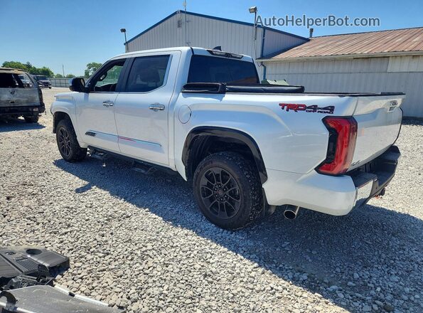 5TFMA5DB5SX247516 2025 TOYOTA TUNDRA White Rear left
