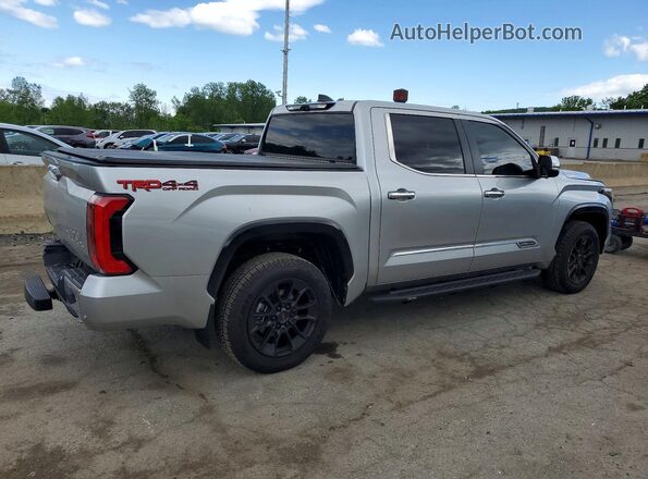 5TFMA5DB5SX295596 2025 TOYOTA TUNDRA Silver 