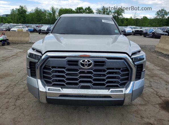 5TFMA5DB5SX295596 2025 TOYOTA TUNDRA Silver 