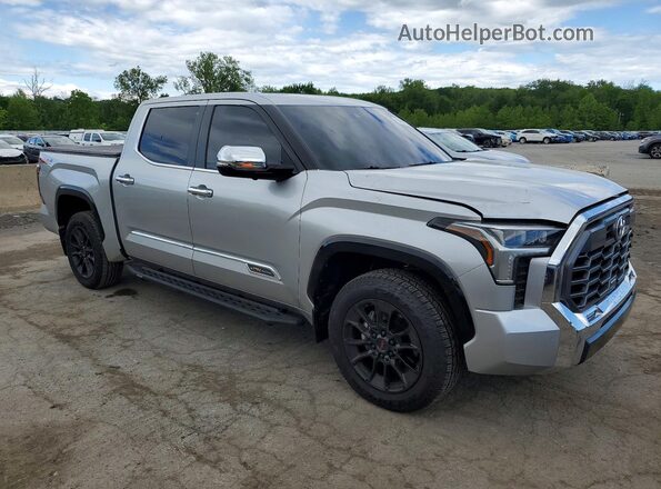 5TFMA5DB5SX295596 2025 TOYOTA TUNDRA Silver 