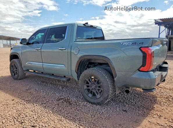 5TFMA5DB6RX219895 2024 TOYOTA TUNDRA Gray Задня ліва чверть
