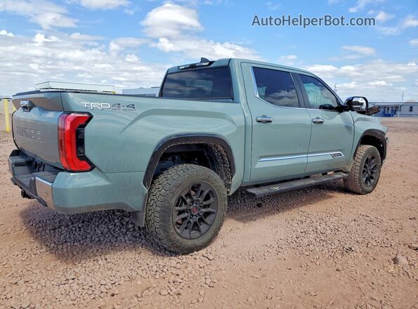 5TFMA5DB6RX219895 2024 TOYOTA TUNDRA Gray Задня права чверть