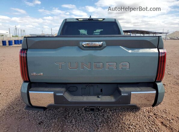 5TFMA5DB6RX219895 2024 TOYOTA TUNDRA Gray Вид ззаду