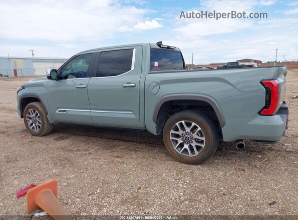 5TFMA5DB7RX211840 2024 TOYOTA TUNDRA Green 360 interior view