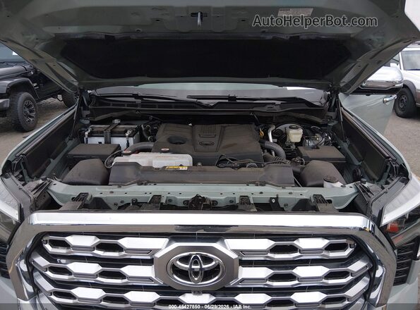 5TFMA5DB7SX300510 2025 TOYOTA TUNDRA Gray Հետևի տեսք