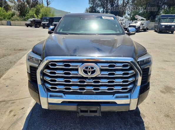 5TFMA5DB8NX016100 2022 TOYOTA TUNDRA Black Vista frontal