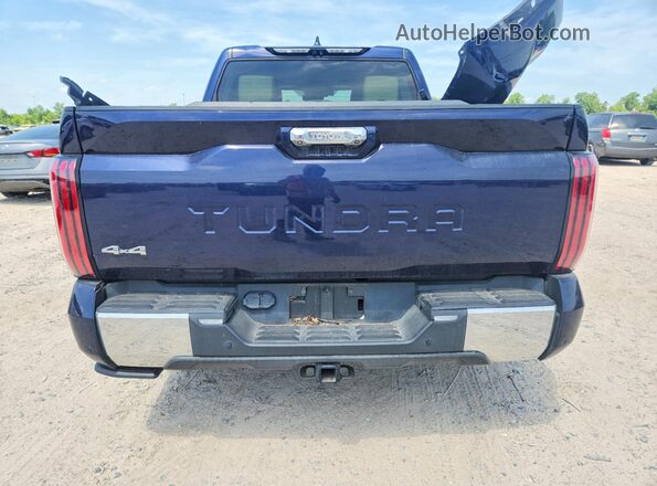 5TFMA5DB9NX014095 2022 TOYOTA TUNDRA Blue Widok z tyłu