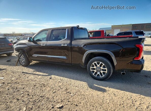 5TFMA5EC5RX032669 2024 TOYOTA TUNDRA Brown Հետևի ձախ