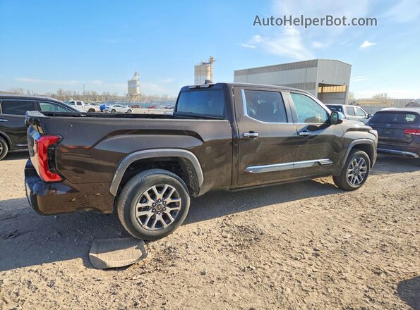 5TFMA5EC5RX032669 2024 TOYOTA TUNDRA Brown Հետևի աջ