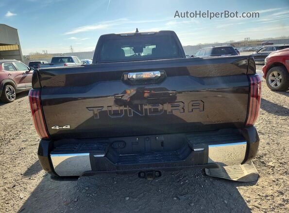 5TFMA5EC5RX032669 2024 TOYOTA TUNDRA Brown Հետևի տեսք