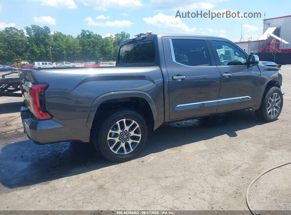 5TFMC5DB6SX113656 2025 TOYOTA TUNDRA HYBRID Gray Rear right