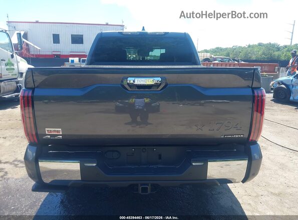5TFMC5DB6SX113656 2025 TOYOTA TUNDRA HYBRID Gray 