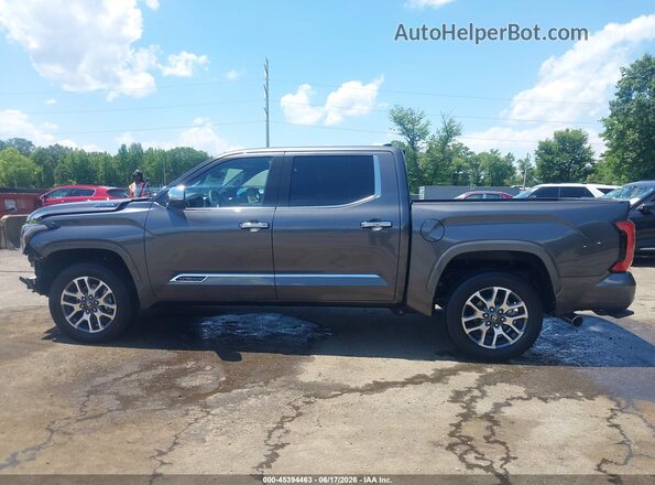 5TFMC5DB6SX113656 2025 TOYOTA TUNDRA HYBRID Gray 360 interior view