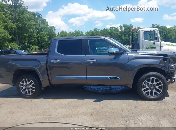 5TFMC5DB6SX113656 2025 TOYOTA TUNDRA HYBRID Gray Rear interior view
