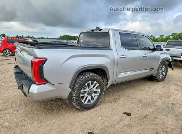 5TFMC5DB8SX091367 2025 TOYOTA TUNDRA Silver 