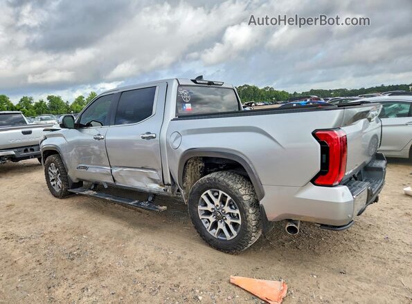 5TFMC5DB8SX091367 2025 TOYOTA TUNDRA Silver 