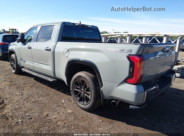 5TFMC5EC3RX008073 2024 TOYOTA TUNDRA HYBRID Gray უკანა მარცხენა
