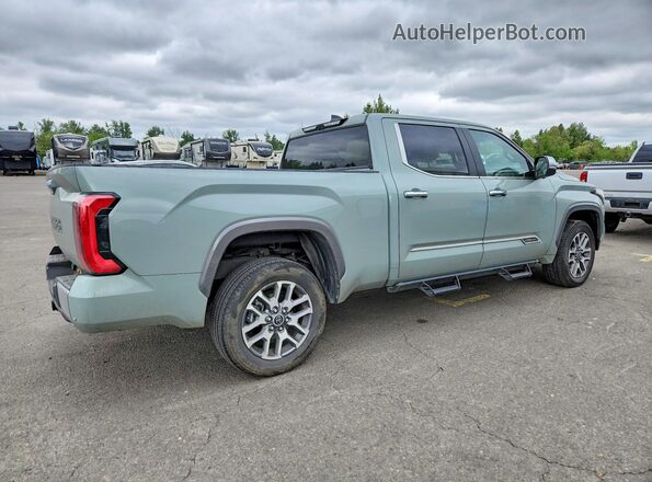 5TFMC5EC6RX007970 2024 TOYOTA TUNDRA Green Tył prawy