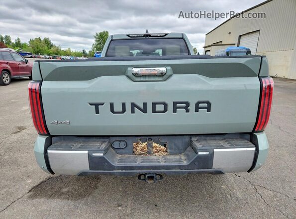 5TFMC5EC6RX007970 2024 TOYOTA TUNDRA Green Widok z tyłu