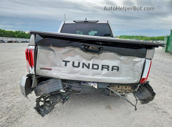 5TFNA5AB5PX026983 2023 TOYOTA TUNDRA Silver უკანა ხედი