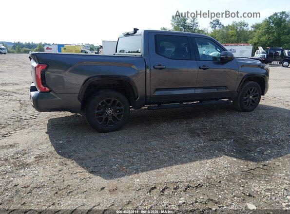 5TFNA5DB3NX002254 2022 TOYOTA TUNDRA Gray უკანა მარჯვენა