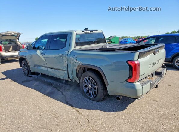 5TFNA5DB3RX162785 2024 TOYOTA TUNDRA Gray Tył lewy