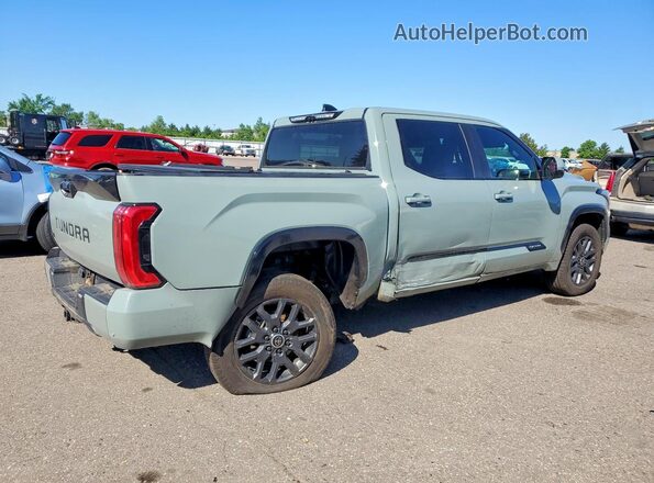 5TFNA5DB3RX162785 2024 TOYOTA TUNDRA Gray Tył prawy