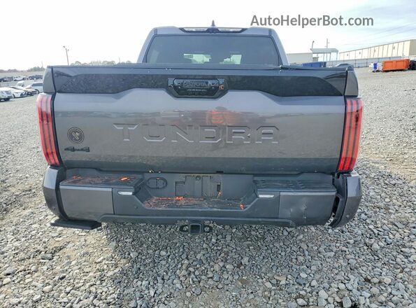5TFNA5DB5RX194136 2024 TOYOTA TUNDRA Gray Rear view
