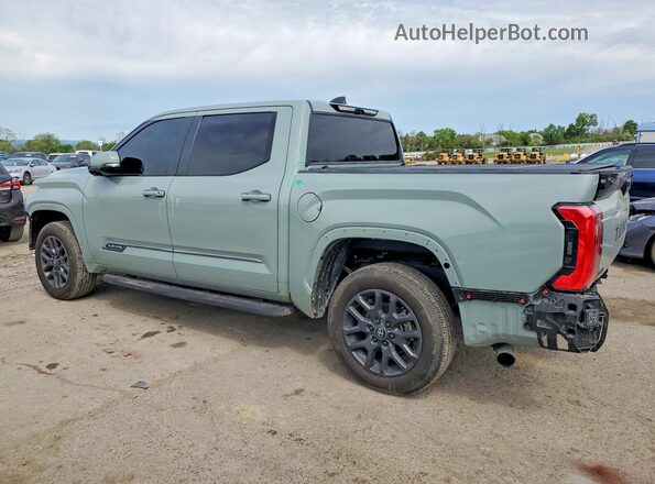 5TFNA5DB8SX238653 2025 TOYOTA TUNDRA Gray Trasero izquierdo