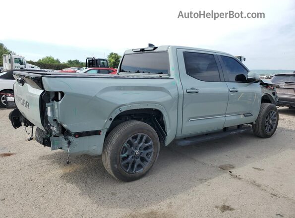5TFNA5DB8SX238653 2025 TOYOTA TUNDRA Gray Trasero derecho