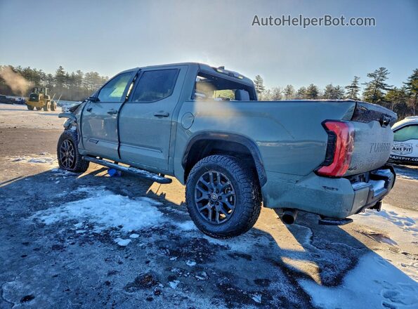 5TFNA5DB9SX302392 2025 TOYOTA TUNDRA Green Հետևի ձախ