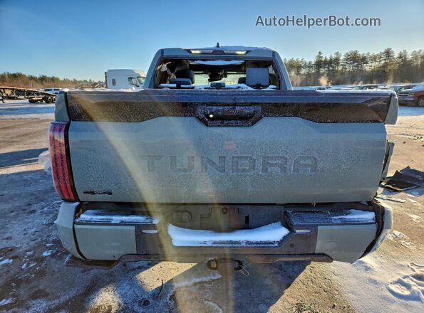5TFNA5DB9SX302392 2025 TOYOTA TUNDRA Green Հետևի տեսք
