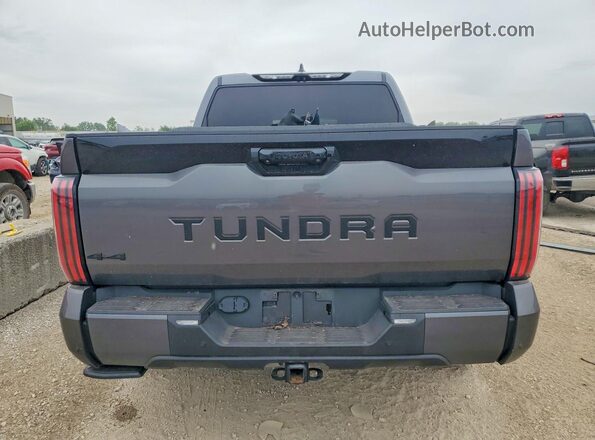 5TFNA5DBXNX040757 2022 TOYOTA TUNDRA Gray Widok z tyłu