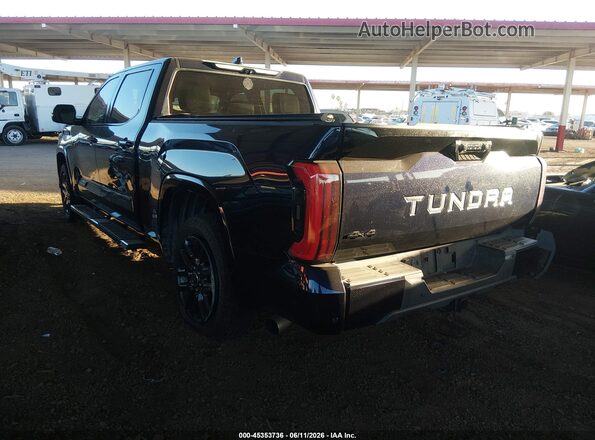 5TFNA5EC0NX008357 2022 TOYOTA TUNDRA Blue Rear left