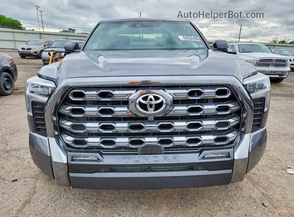 5TFNA5EC0SX042598 2025 TOYOTA TUNDRA Gray Widok z przodu
