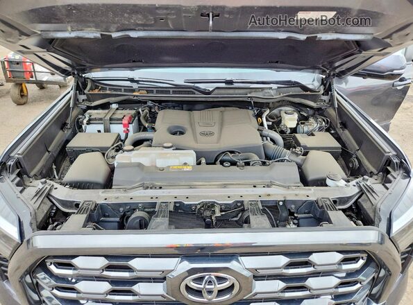 5TFNA5EC0SX042598 2025 TOYOTA TUNDRA Gray Widok wnętrza z tyłu