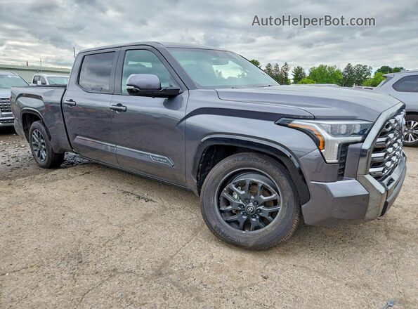 5TFNA5EC0SX042598 2025 TOYOTA TUNDRA Gray Przód prawy