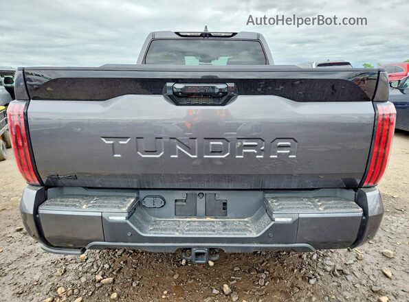 5TFNA5EC0SX042598 2025 TOYOTA TUNDRA Gray Widok z tyłu