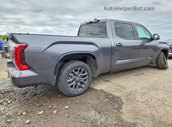 5TFNA5EC0SX042598 2025 TOYOTA TUNDRA Gray Tył prawy