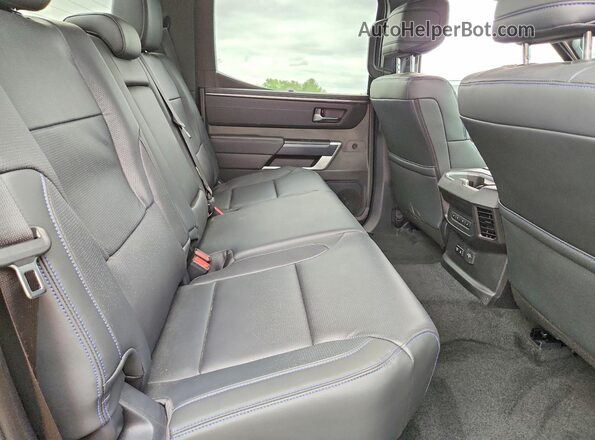 5TFNA5EC0SX042598 2025 TOYOTA TUNDRA Gray Widok tylnych siedzeń