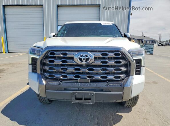 5TFNC5DB0SX108456 2025 TOYOTA TUNDRA White Front view