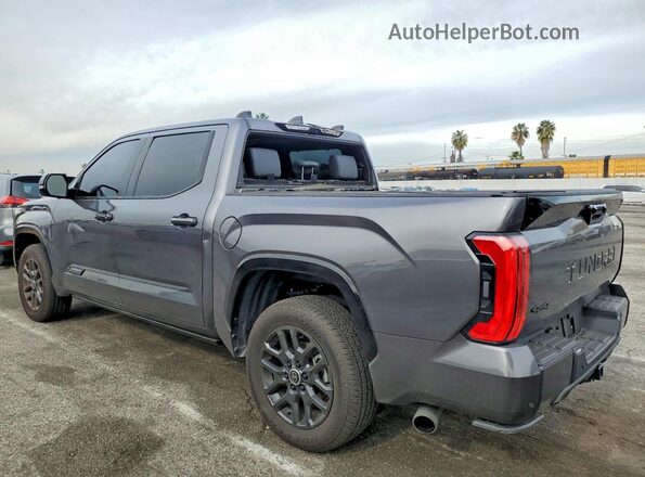 5TFNC5DB2RX061957 2024 TOYOTA TUNDRA Charcoal Задня ліва чверть