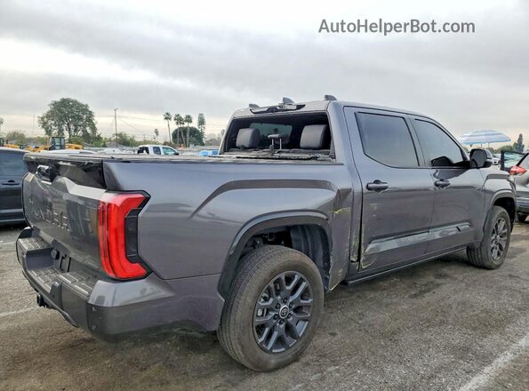5TFNC5DB2RX061957 2024 TOYOTA TUNDRA Charcoal Задня права чверть