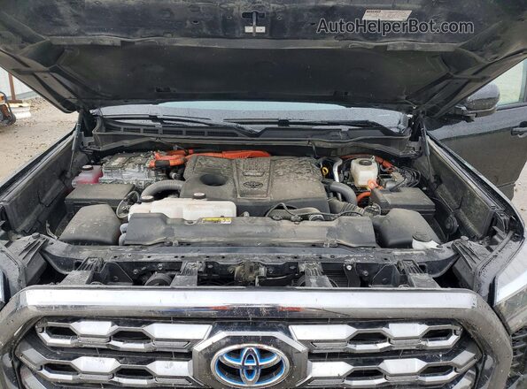5TFNC5DB3RX062681 2024 TOYOTA TUNDRA Black Вид задньої частини салону
