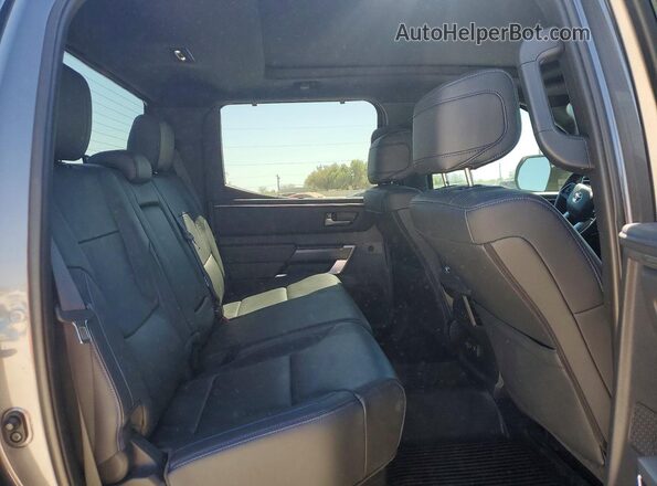 5TFNC5DB6RX052176 2024 TOYOTA TUNDRA Серый Вид задних сидений