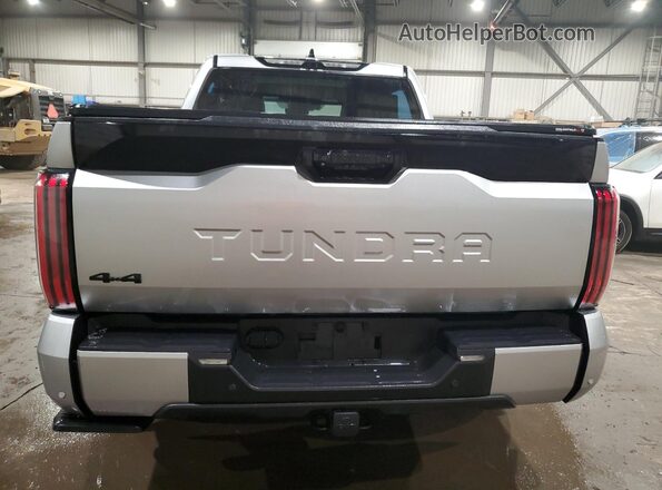 5TFNC5DB7PX028515 2023 TOYOTA TUNDRA Gray Вид ззаду