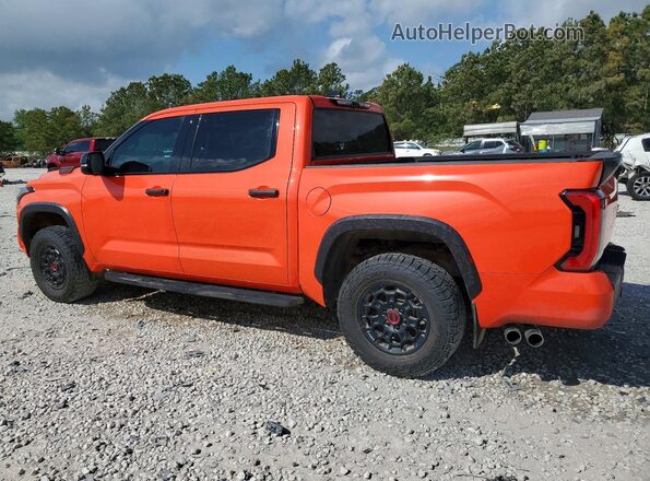 5TFPC5DB1PX024596 2023 TOYOTA TUNDRA Orange უკანა მარცხენა
