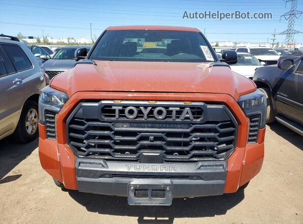 5TFPC5DB1RX057357 2024 TOYOTA TUNDRA Оранжевый Вид спереди