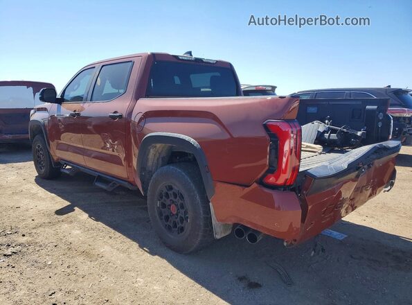 5TFPC5DB1RX057357 2024 TOYOTA TUNDRA Оранжевый Задняя левая четверть